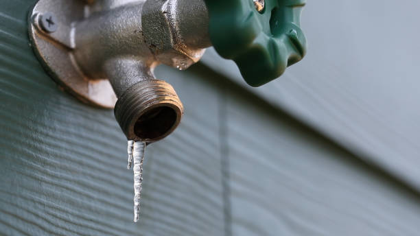 Best Plumbing Repair Near Me  in Coing, AL