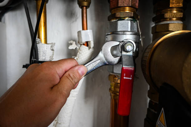 Best Plumbing Services Near Me  in Coing, AL